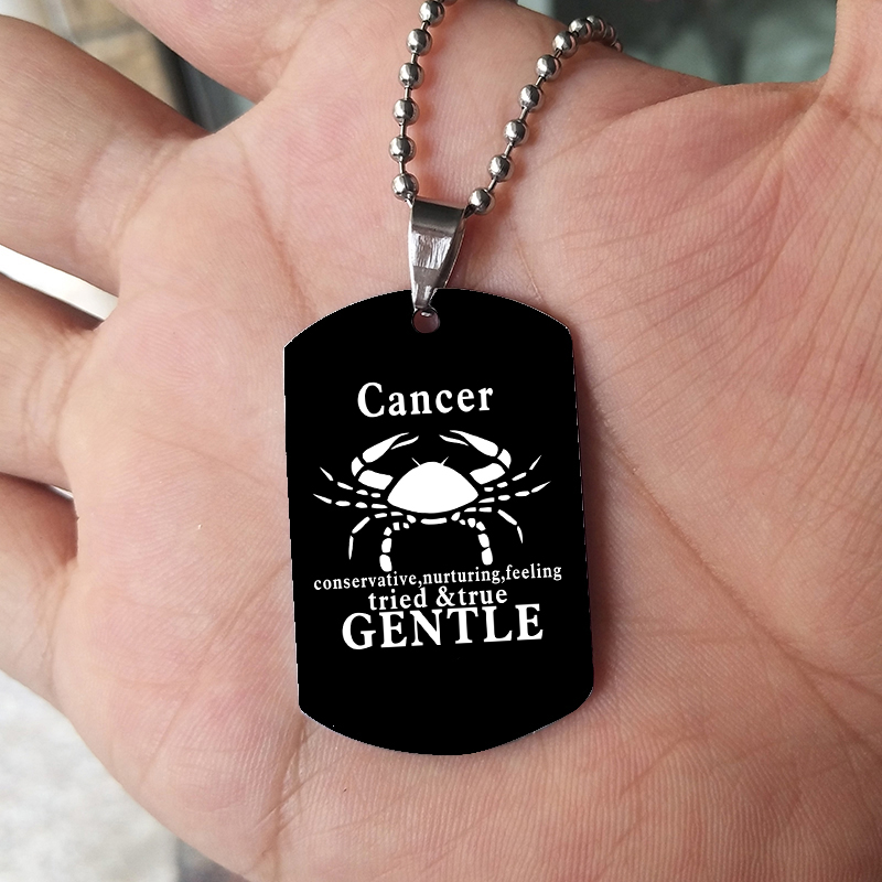12 Zodiac Signs Necklace For M - Mens Dog Tag Necklace recension och pris